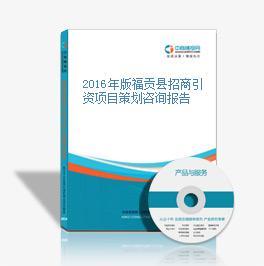 2016年版福贡县招商引资项目策划咨询报告 精准定位与高效服务的实践指南